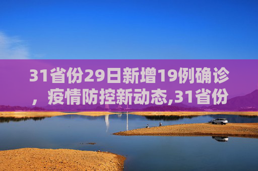 31省份29日新增19例确诊，疫情防控新动态,31省份29日新增19例确诊