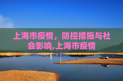 上海市疫情，防控措施与社会影响,上海市疫情