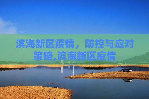 滨海新区疫情，防控与应对策略,滨海新区疫情
