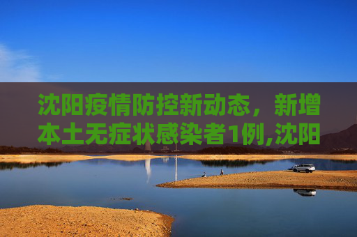 沈阳疫情防控新动态，新增本土无症状感染者1例,沈阳新增本土无症状1例