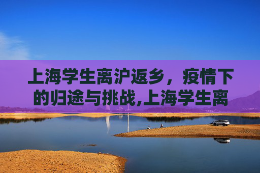 上海学生离沪返乡，疫情下的归途与挑战,上海学生离沪返乡