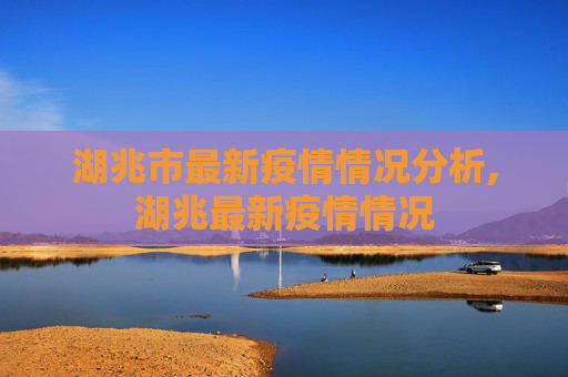 湖兆市最新疫情情况分析,湖兆最新疫情情况
