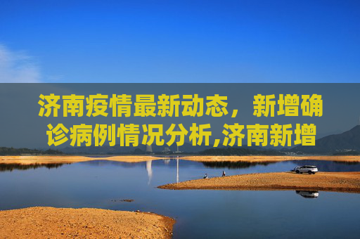 济南疫情最新动态，新增确诊病例情况分析,济南新增确诊病例