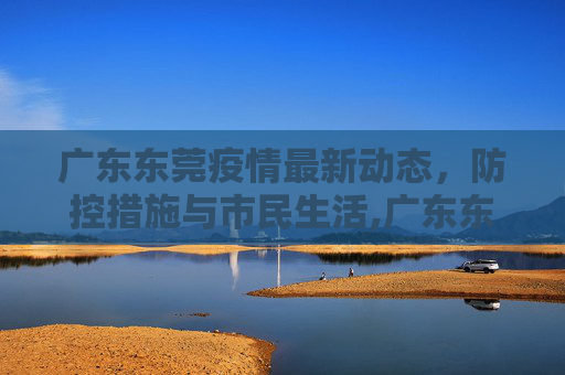 广东东莞疫情最新动态，防控措施与市民生活,广东东莞疫情最新情况