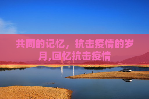 共同的记忆，抗击疫情的岁月,回忆抗击疫情