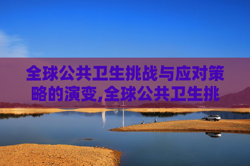 全球公共卫生挑战与应对策略的演变,全球公共卫生挑战与应对策略的演变