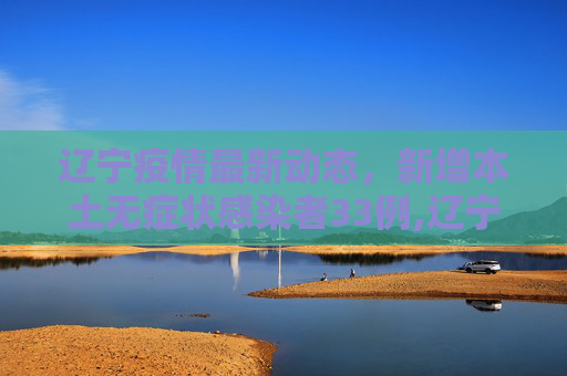 辽宁疫情最新动态，新增本土无症状感染者33例,辽宁增本土无症状33例