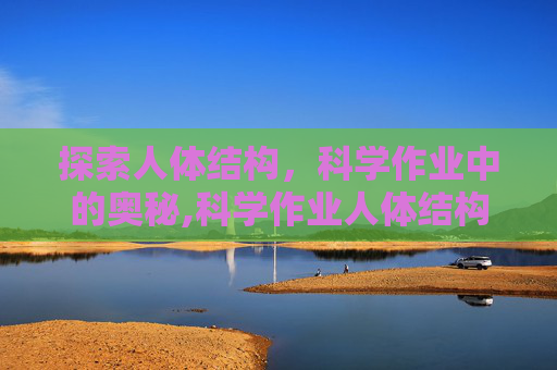 探索人体结构，科学作业中的奥秘,科学作业人体结构