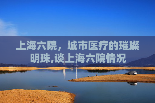 上海六院，城市医疗的璀璨明珠,谈上海六院情况