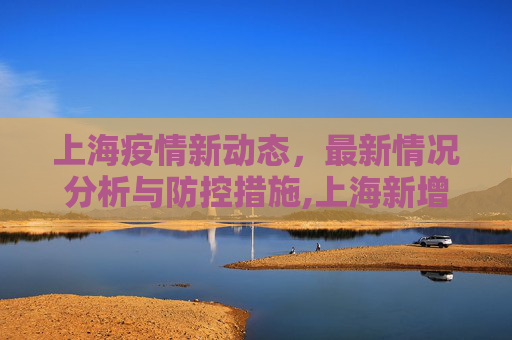 上海疫情新动态，最新情况分析与防控措施,上海新增疫情最新情况