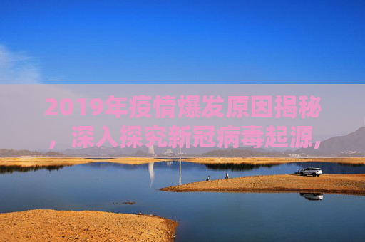 2019年疫情爆发原因揭秘，深入探究新冠病毒起源,2019年疫情爆发原因揭秘
