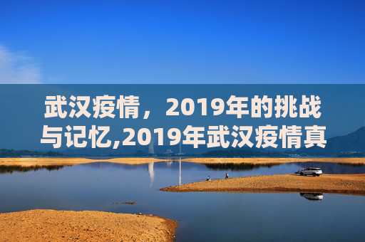 武汉疫情，2019年的挑战与记忆,2019年武汉疫情真实记录