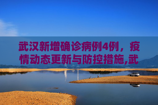 武汉新增确诊病例4例，疫情动态更新与防控措施,武汉新增确诊病例4例