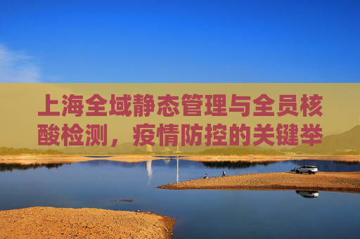 上海全域静态管理与全员核酸检测，疫情防控的关键举措,上海全域静态管理全员核酸