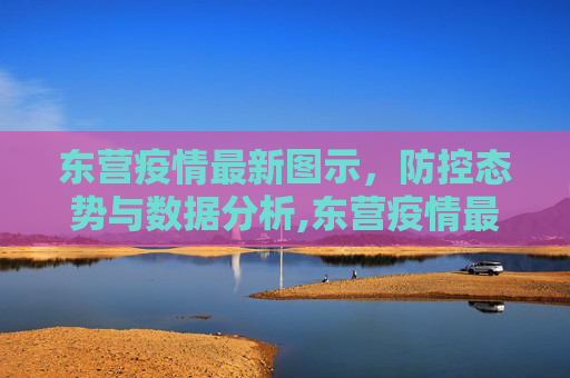 东营疫情最新图示，防控态势与数据分析,东营疫情最新图示