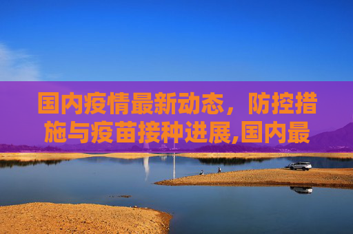 国内疫情最新动态，防控措施与疫苗接种进展,国内最新消息疫情