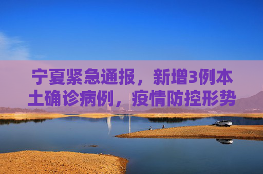 宁夏紧急通报，新增3例本土确诊病例，疫情防控形势严峻,关于宁夏新增3例本土确诊的信息