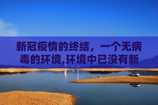 新冠疫情的终结，一个无病毒的环境,环境中已没有新冠