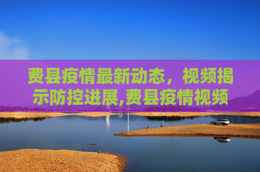 费县疫情最新动态，视频揭示防控进展,费县疫情视频最新