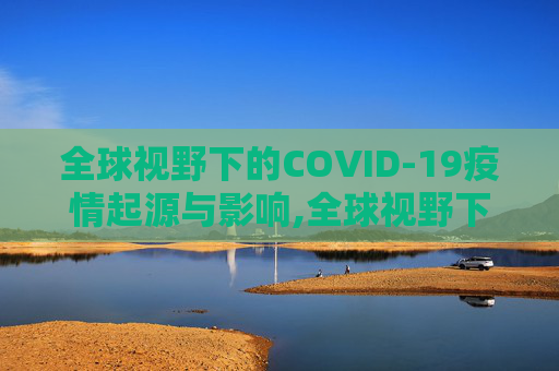 全球视野下的COVID-19疫情起源与影响,全球视野下的COVID19疫情起源与影响