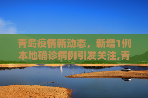 青岛疫情新动态，新增1例本地确诊病例引发关注,青岛新增1例本地确诊病例