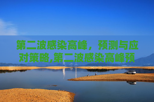 第二波感染高峰，预测与应对策略,第二波感染高峰预测