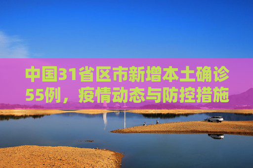 中国31省区市新增本土确诊55例，疫情动态与防控措施,31省区市新增本土确诊55例