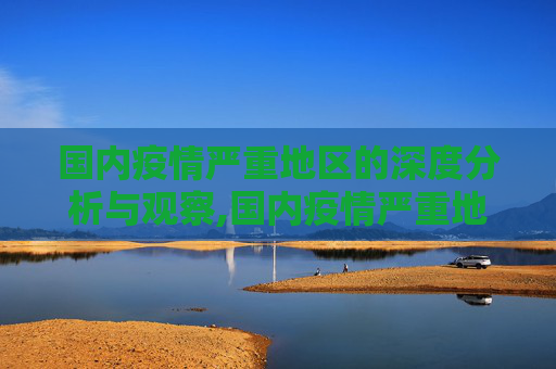 国内疫情严重地区的深度分析与观察,国内疫情严重地区深度分析与观察