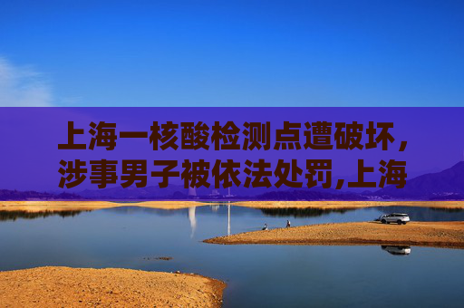 上海一核酸检测点遭破坏，涉事男子被依法处罚,上海一核酸点被砸涉事男子被处罚