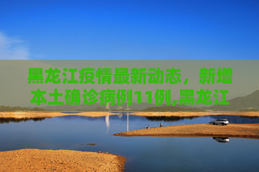 黑龙江疫情最新动态，新增本土确诊病例11例,黑龙江新增本土确诊11例