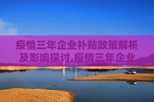 疫情三年企业补贴政策解析及影响探讨,疫情三年企业补贴政策解析及影响探讨
