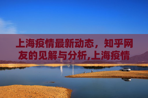 上海疫情最新动态，知乎网友的见解与分析,上海疫情情况知乎最新