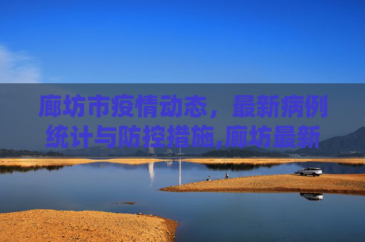 廊坊市疫情动态，最新病例统计与防控措施,廊坊最新疫情共多少病例
