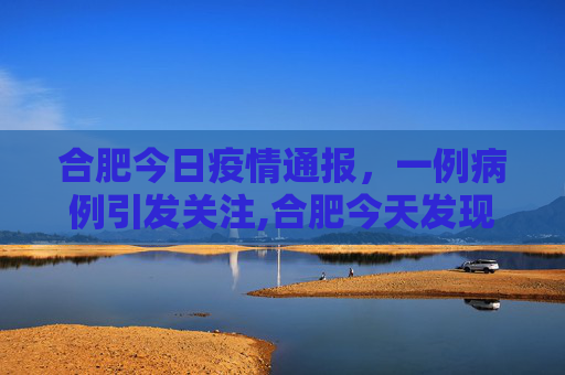 合肥今日疫情通报，一例病例引发关注,合肥今天发现了一例病例吗