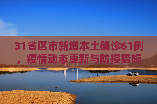 31省区市新增本土确诊61例，疫情动态更新与防控措施,31省区市新增本土确诊61例