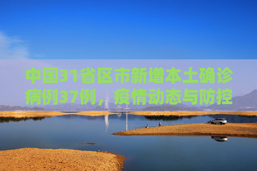 中国31省区市新增本土确诊病例37例，疫情动态与防控措施,31省区市新增本土确诊37例