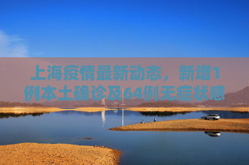 上海疫情最新动态，新增1例本土确诊及64例无症状感染者,包含上海新增1例本土确诊64例无症状的词条