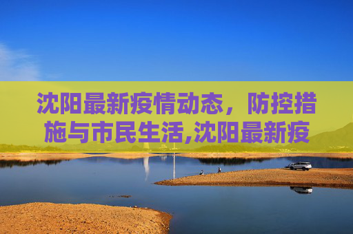 沈阳最新疫情动态，防控措施与市民生活,沈阳最新疫情